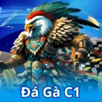 Đá Gà C1 BET88 - Thế Giới Của Những Chiến Kê Dũng Mãnh