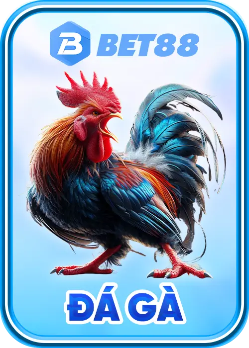 đá gà bet88